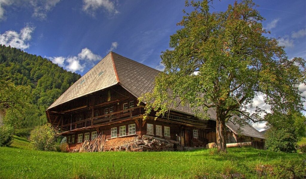 Der Schwarzwaldhof - eine wundervolle Gebäudeart für Moritz zum Leben und Wohnen.